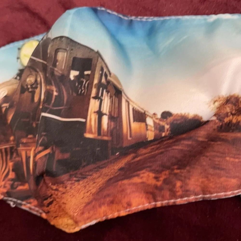 6/$20 New train face mask